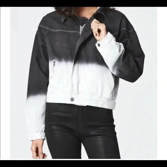 Carmar Jacket  - Picture 5 of 6